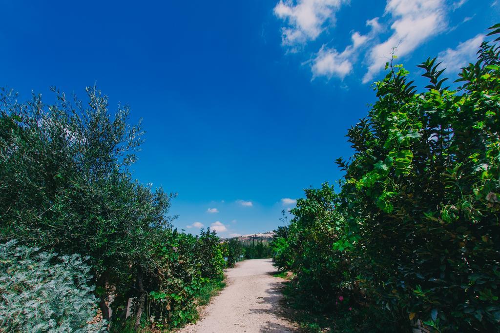 Tur Sinai Organic Farm Resort Jeruzalem Buitenkant foto