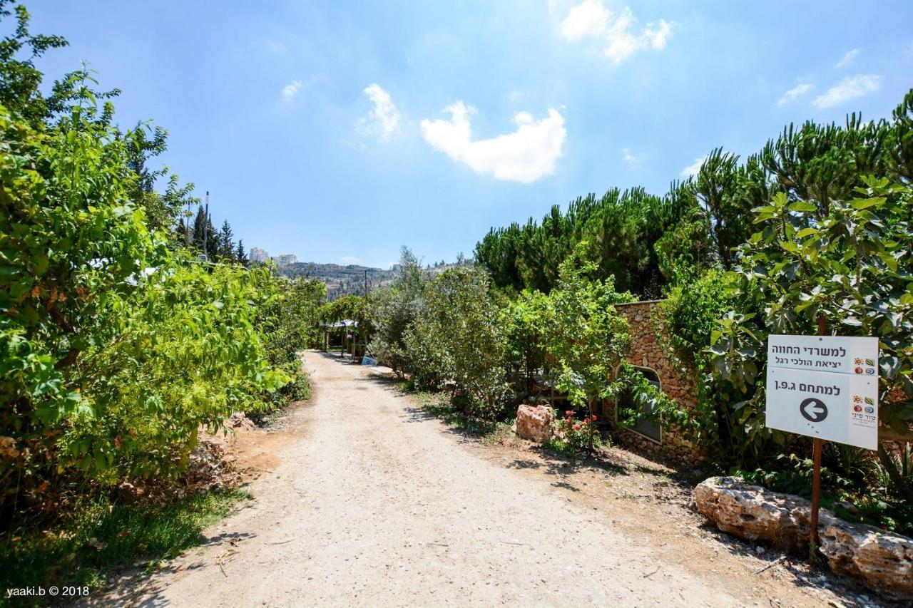 Tur Sinai Organic Farm Resort Jeruzalem Buitenkant foto