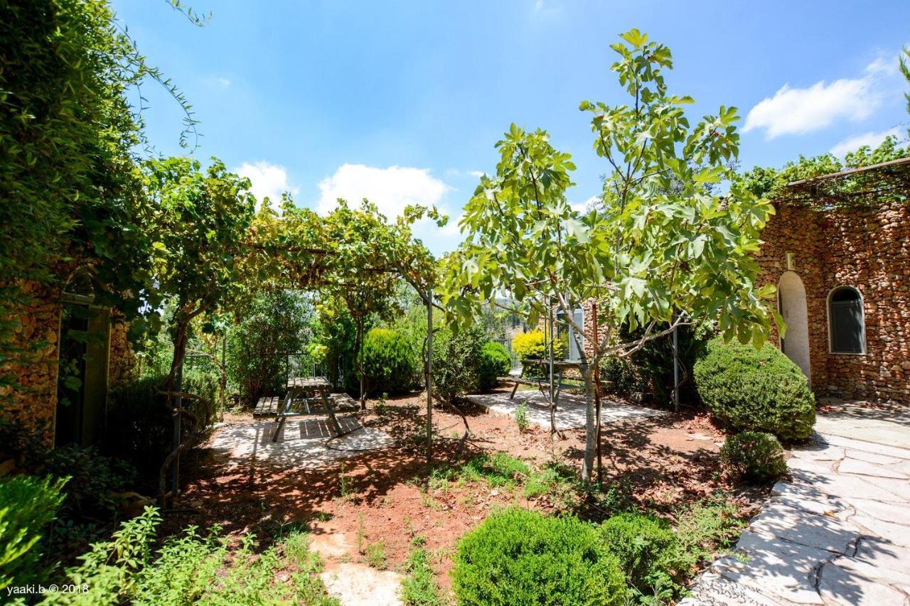 Tur Sinai Organic Farm Resort Jeruzalem Buitenkant foto