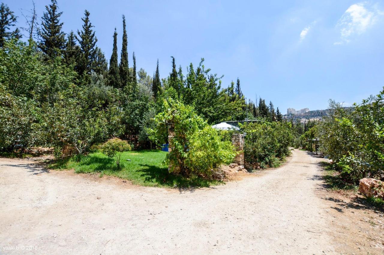Tur Sinai Organic Farm Resort Jeruzalem Buitenkant foto