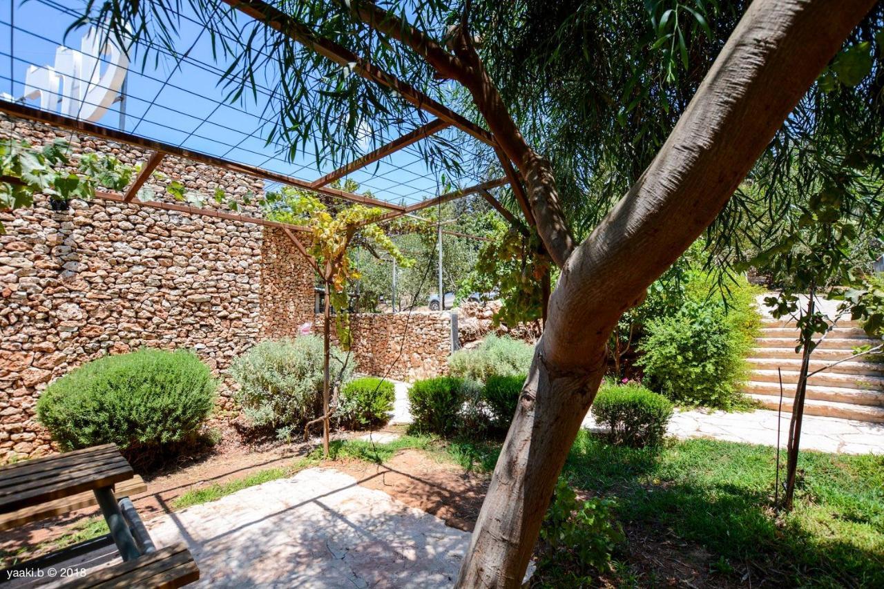 Tur Sinai Organic Farm Resort Jeruzalem Buitenkant foto
